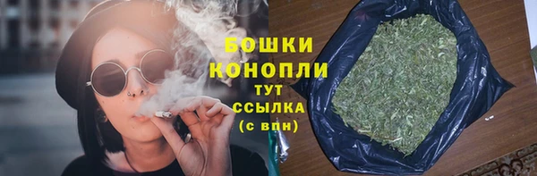 PSILOCYBIN Алзамай
