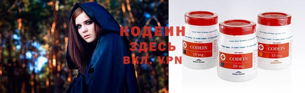 PSILOCYBIN Алзамай
