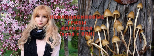 герыч Пестово