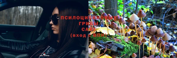 ECSTASY Абдулино