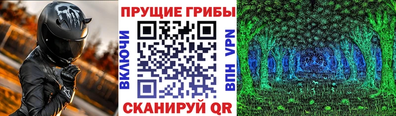 Псилоцибиновые грибы мухоморы ссылка на мегу tor Кохма сколько стоит